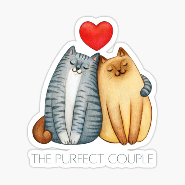 Cute Couple Sticker - Cute Couple Kitty - Discover & Share GIFs