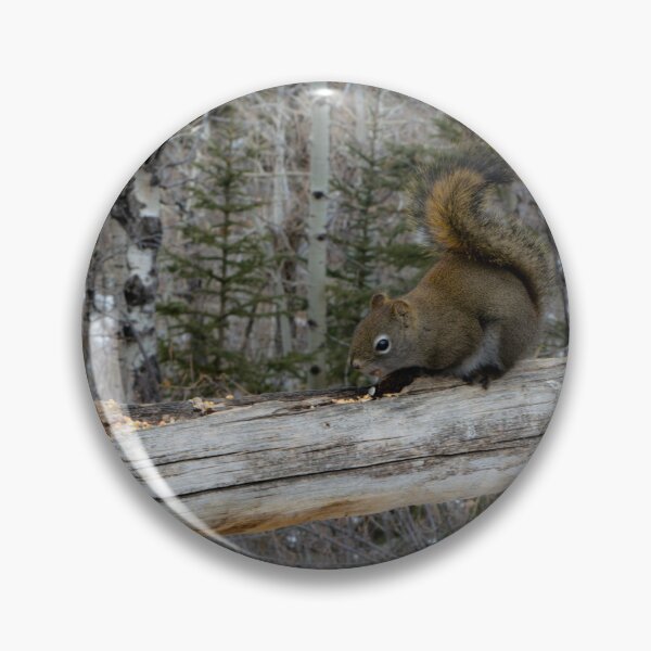 Item preview, Squirrel  designed and sold by CanadianWild418.