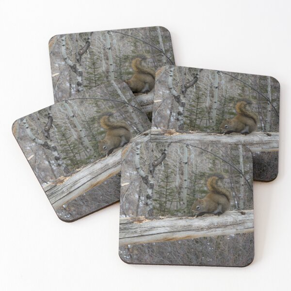 Item preview, Squirrel  designed and sold by CanadianWild418.