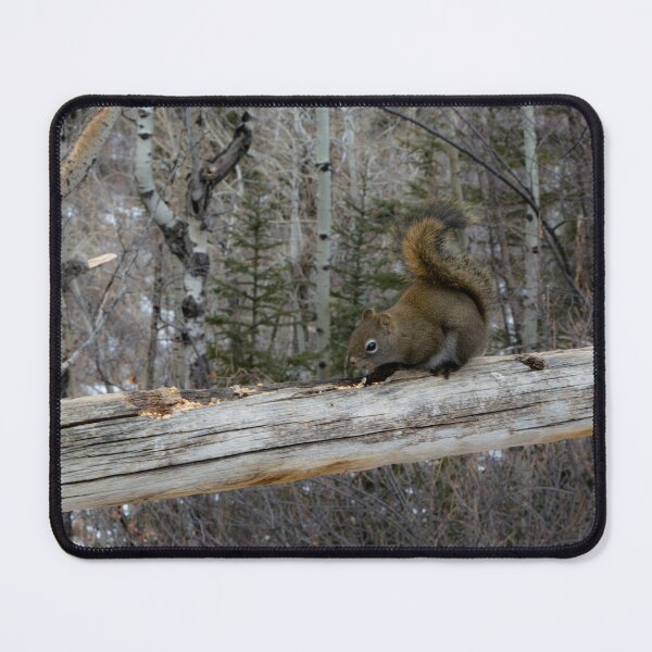 Item preview, Squirrel designed and sold by CanadianWild418.