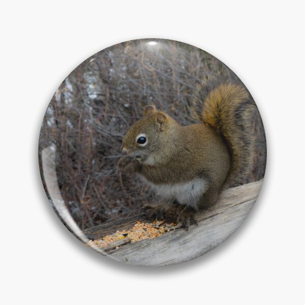Item preview, North American Squirrel designed and sold by CanadianWild418.