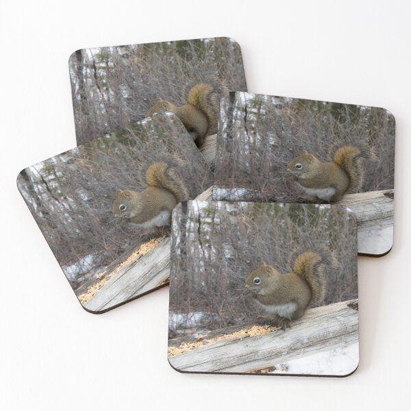 Item preview, North American Squirrel designed and sold by CanadianWild418.