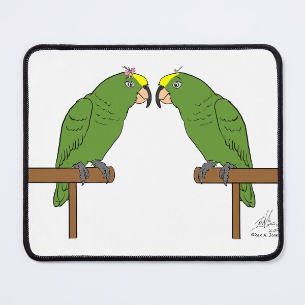 Item preview, Crazy Bird man with Yellow-crowned Amazons designed and sold by Laughing Parrot Studio.