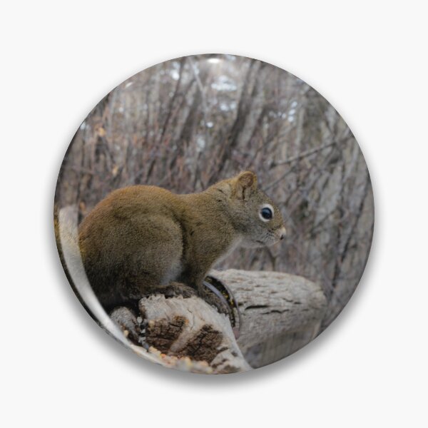 Item preview, Red Squirrel designed and sold by CanadianWild418.