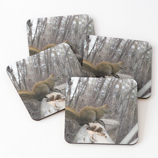 Item preview, Red Squirrel designed and sold by CanadianWild418.