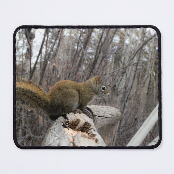 Item preview, Red Squirrel designed and sold by CanadianWild418.