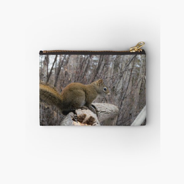 Item preview, Red Squirrel designed and sold by CanadianWild418.