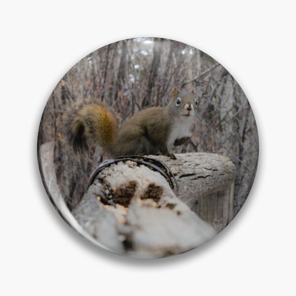 Item preview, Squirrel on the trail. designed and sold by CanadianWild418.