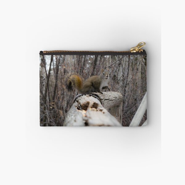 Item preview, Squirrel on the trail. designed and sold by CanadianWild418.