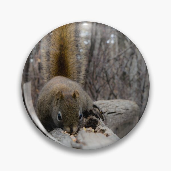 Item preview, Squirrel on the fence rail. designed and sold by CanadianWild418.
