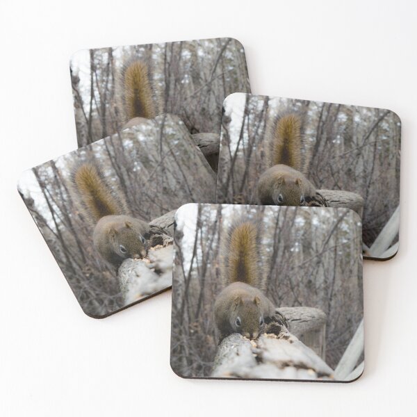 Item preview, Squirrel on the fence rail. designed and sold by CanadianWild418.