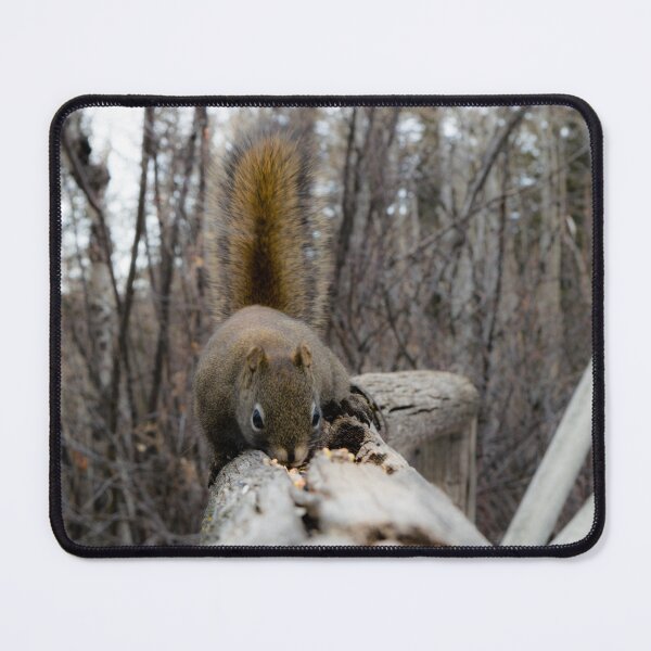 Item preview, Squirrel on the fence rail. designed and sold by CanadianWild418.