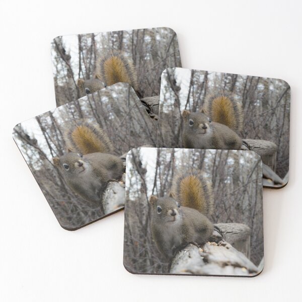 Item preview, Curious squirrel designed and sold by CanadianWild418.