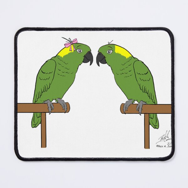 Item preview, Crazy Bird person with Yellow-naped Amazons designed and sold by Laughing Parrot Studio.