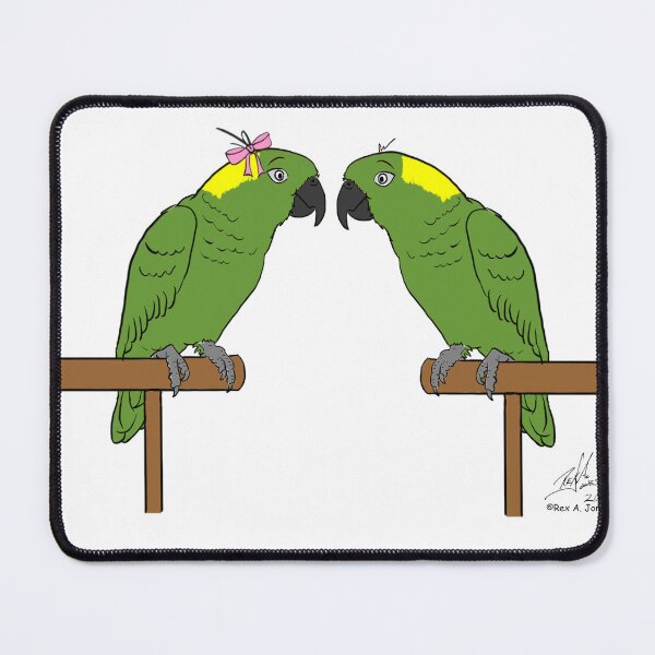 Item preview, Crazy Bird Man with Yellow-naped Amazons designed and sold by Laughing Parrot Studio.
