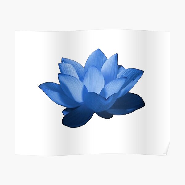 Lotus Flower Bomb Song Meaning