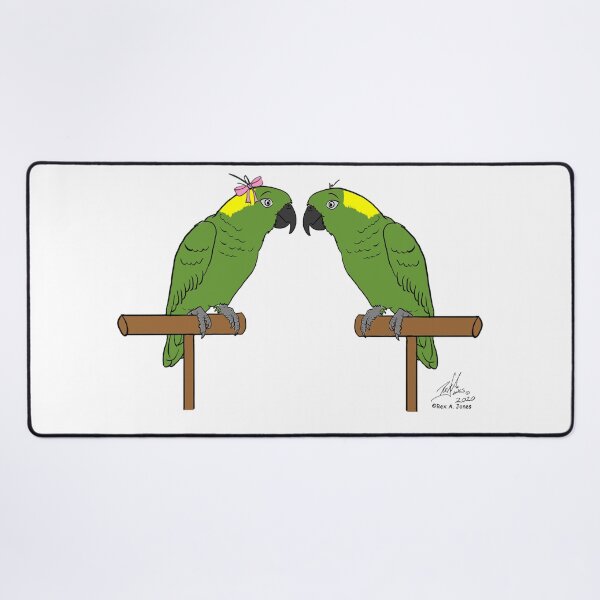 Item preview, Crazy Bird Lady with Yellow-naped Amazons designed and sold by Laughing Parrot Studio.
