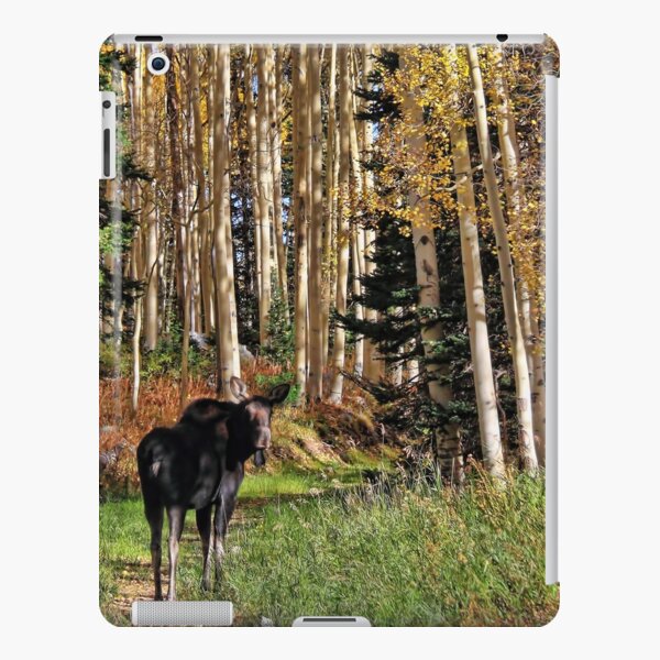 To Hike With A Moose Tablet Case iPad Snap Case