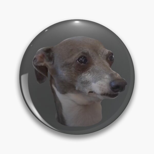Item preview, Kermit the Dog designed and sold by makayla826.