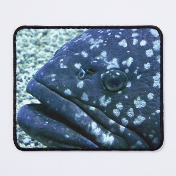Item preview, fish face giant grouper designed and sold by MiraNomegusta.