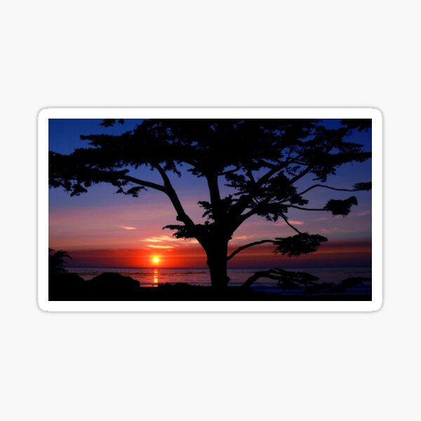 #243 Sunset From Scenic Sticker