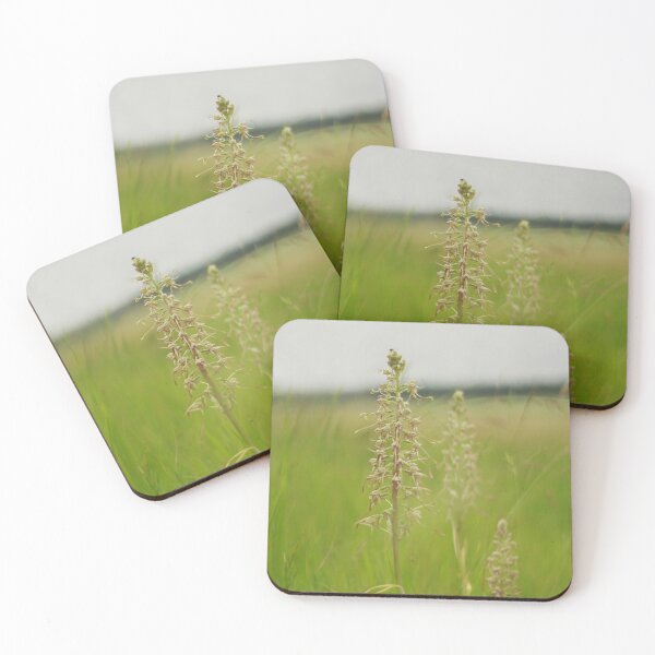 Item preview, Rare lizard orchids  designed and sold by miradorpictures.