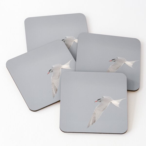 Item preview, Taking terns designed and sold by miradorpictures.