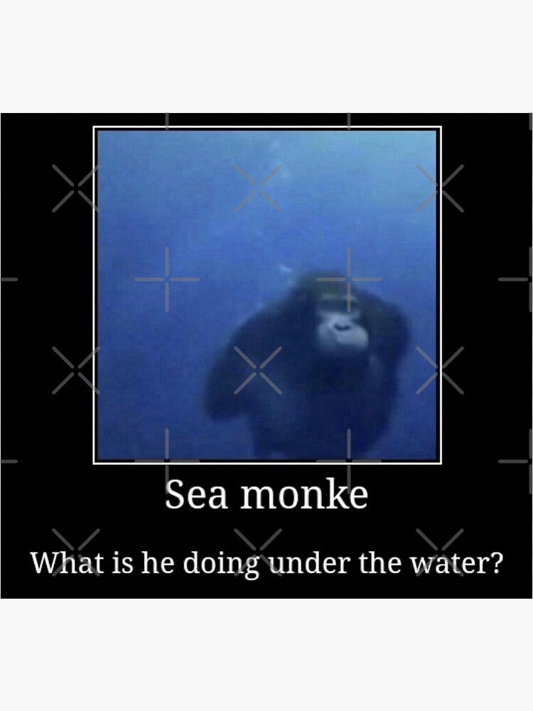 Water Monke / Searching For The Sea Banana