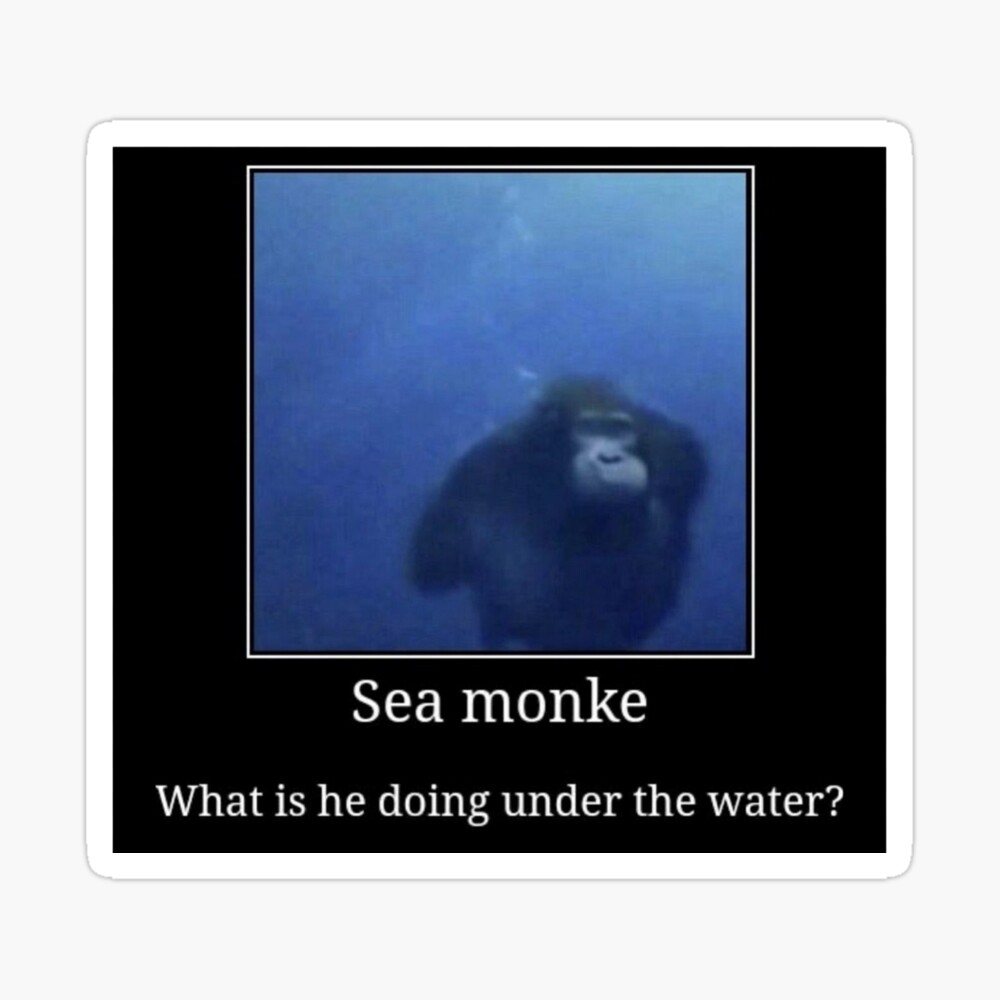 Water Monke / Searching For The Sea Banana
