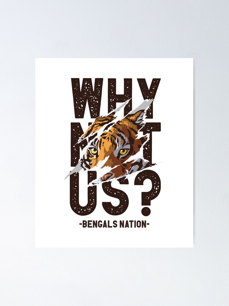 : Cincinnati City Bengals Championship Poster American