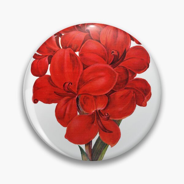 Item preview, Red Amaryllis designed and sold by Adidit.