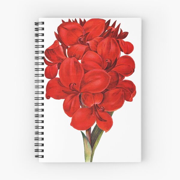 Item preview, Red Amaryllis designed and sold by Adidit.