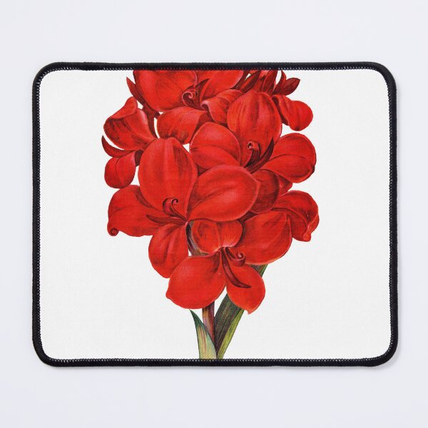 Item preview, Red Amaryllis designed and sold by Adidit.