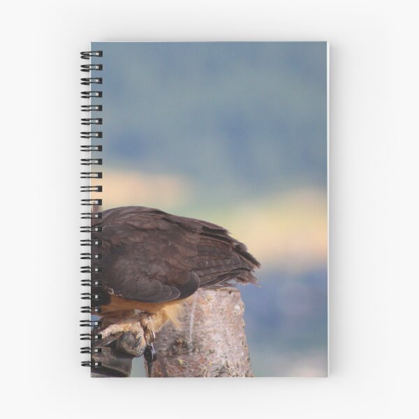 Item preview, Young bird of prey designed and sold by vernonite.