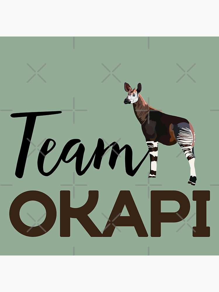 Premium Vector  Okapi face vector illustration perfect for t