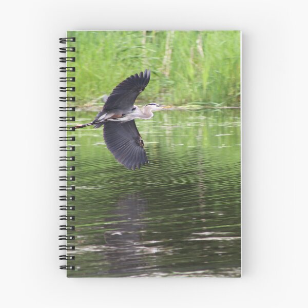 Aperçu de l'œuvre Aigrette atterrissant sur l'eau créée et vendue par vernonite.