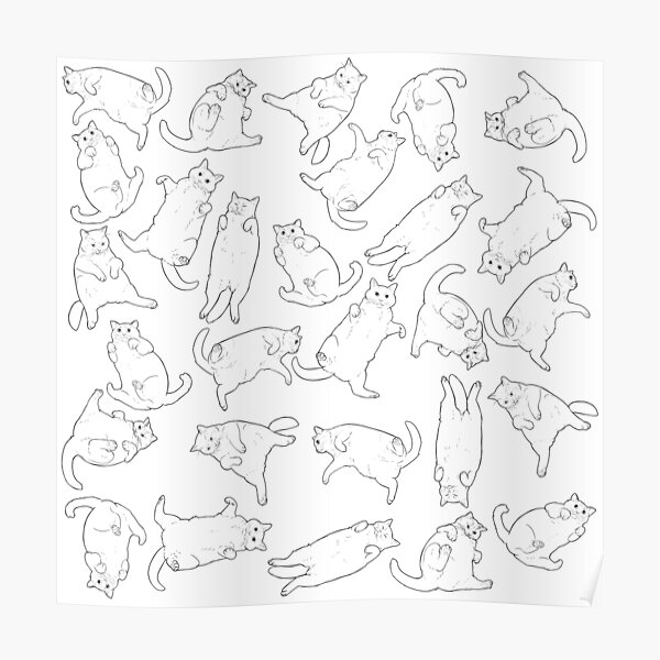 fat-cat-in-many-poses-poster-by-mehu-redbubble