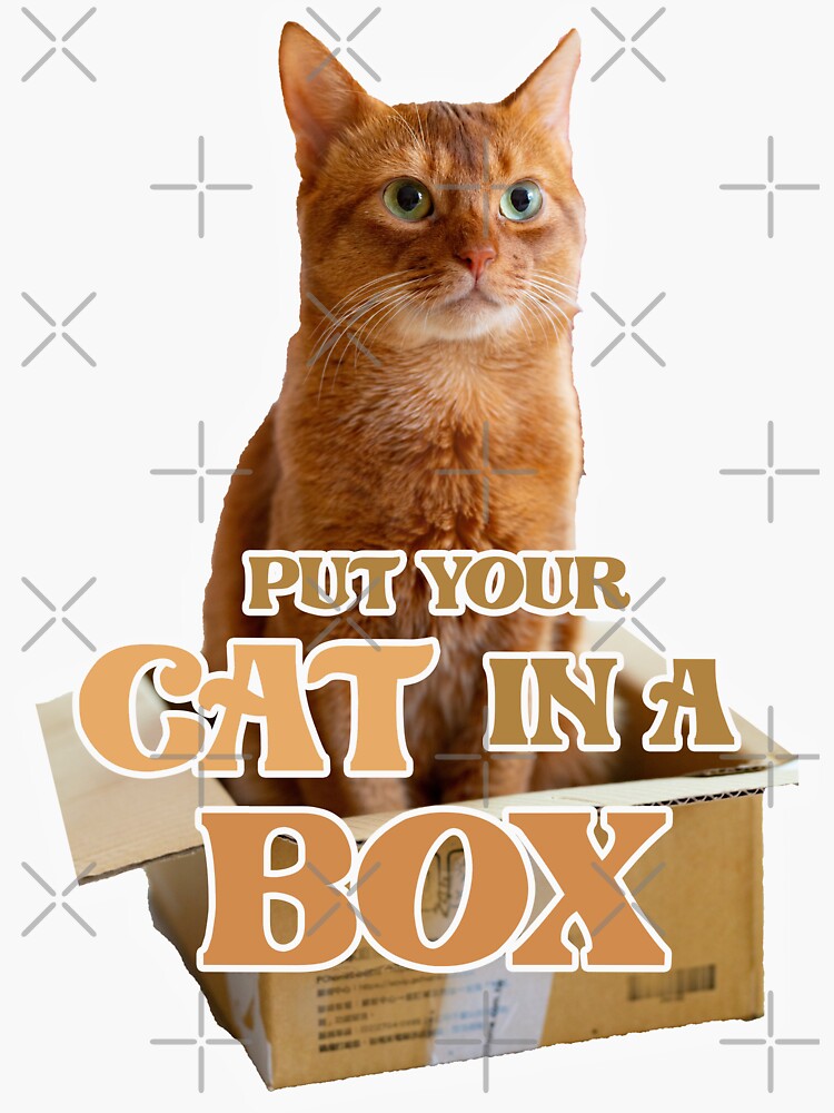 put-your-cat-in-a-box-funny-cat-sticker-for-sale-by-cattlettart