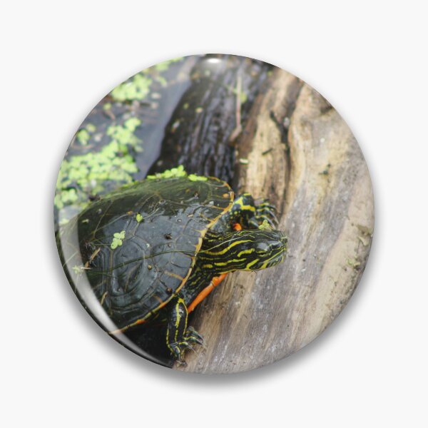 Item preview, Painted turtle designed and sold by vernonite.