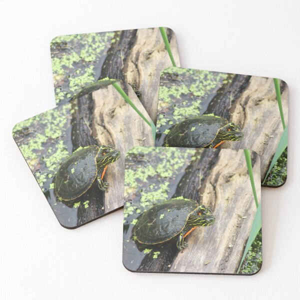 Item preview, Painted turtle designed and sold by vernonite.