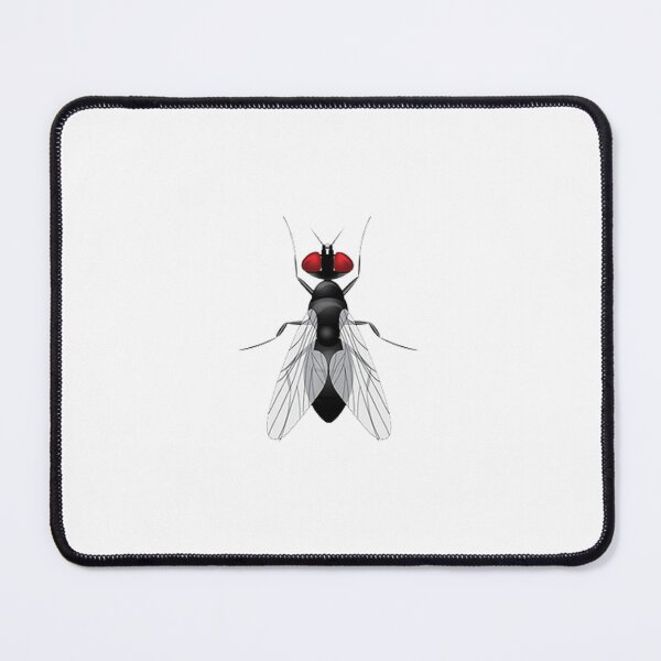 Item preview, House Fly Graphic designed and sold by rachidhaz.