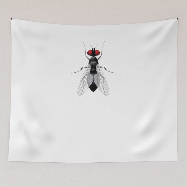 Item preview, House Fly Graphic designed and sold by rachidhaz.
