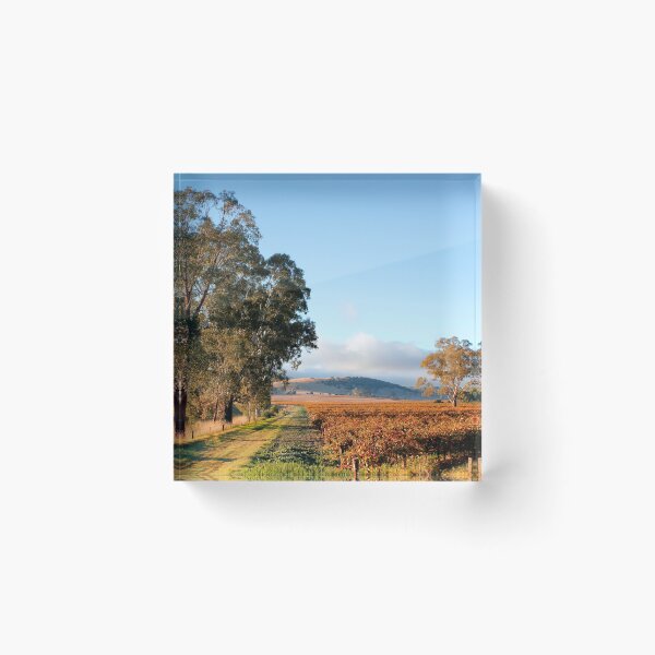 Item preview, Autumn Sunshine in the Barossa Valley designed and sold by jwwallace.
