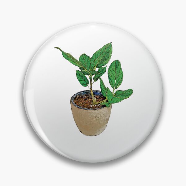 Item preview, Potted Ficus Audrey Plant  designed and sold by PlartCreatives.