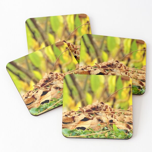 Item preview, Autumn Leaves are Falling Down Close-Up Photography by BranaghBel designed and sold by branaghbel.