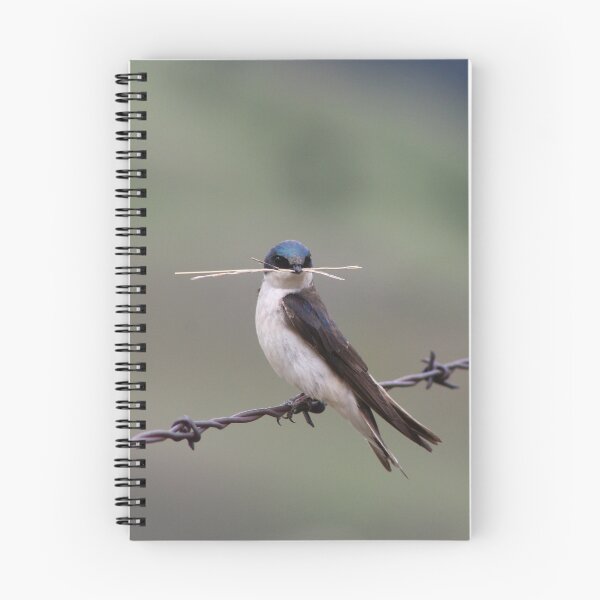 Item preview, Male Tree Swallow designed and sold by vernonite.