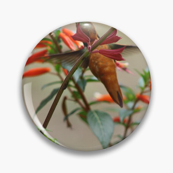 Item preview, Humming bird sipping nectar designed and sold by vernonite.