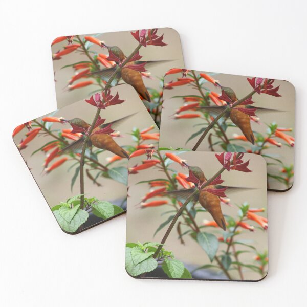 Item preview, Humming bird sipping nectar designed and sold by vernonite.