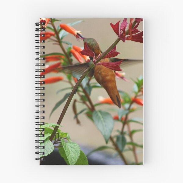 Item preview, Humming bird sipping nectar designed and sold by vernonite.