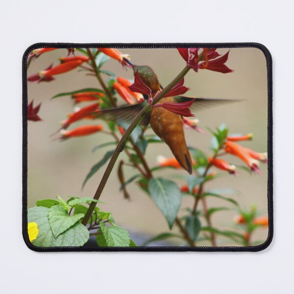 Item preview, Humming bird sipping nectar designed and sold by vernonite.